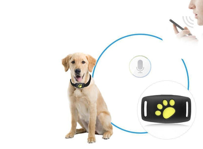 CAT GPS Tracker | Echtzeit-Tracking für Katzen 2