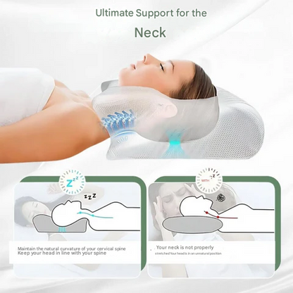 DreamAlign | Orthopädisches Kissen für Nacken und Rücken 2