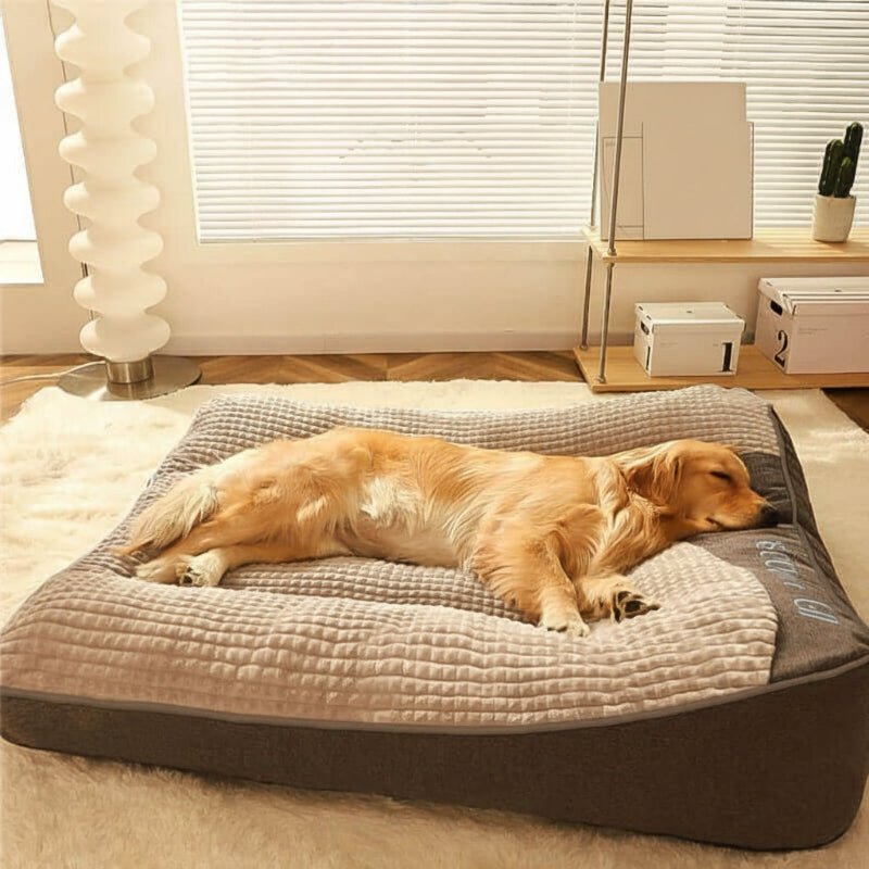 HUGBED | Orthopädisches Hundebett mit Kratzfester Oberfläche 1