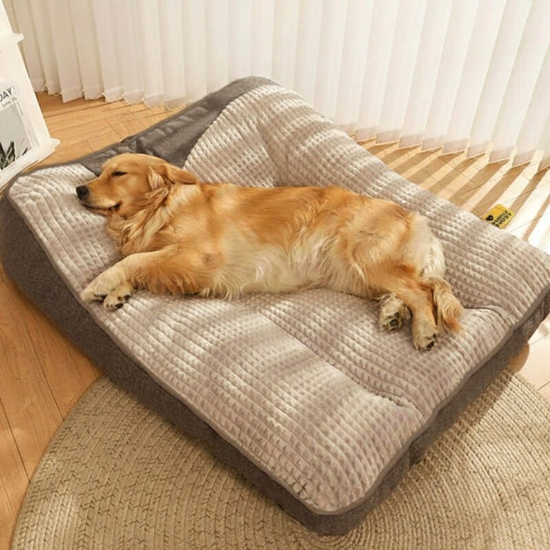 HUGBED | Orthopädisches Hundebett mit Kratzfester Oberfläche 2