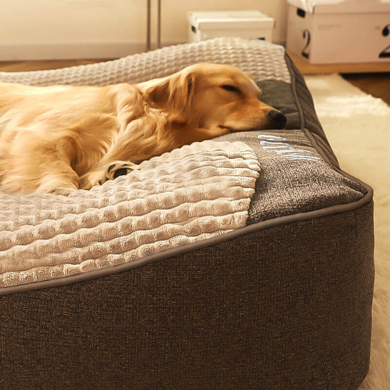 HUGBED | Orthopädisches Hundebett mit Kratzfester Oberfläche 3
