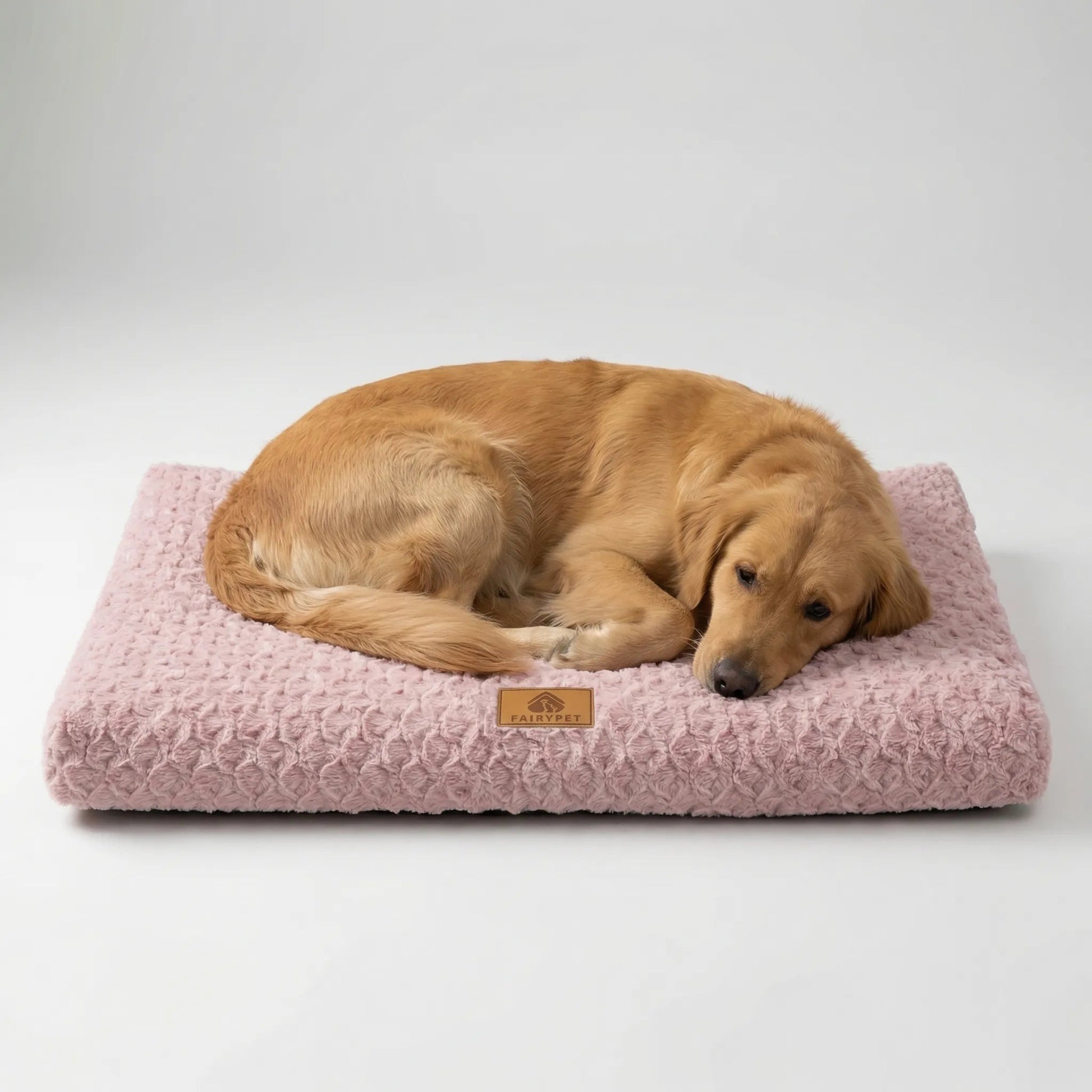 Pawventure | Orthopädische Hundematte mit Abnehmbarem Bezug 8
