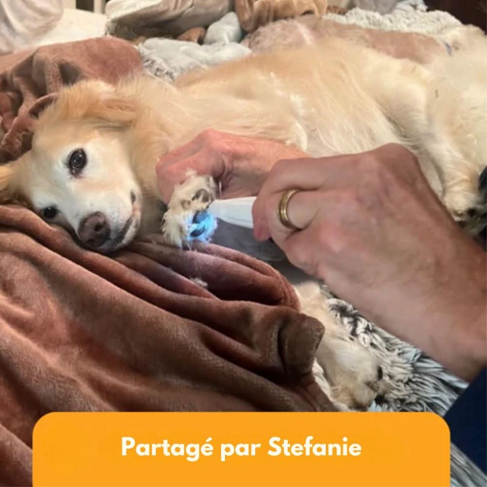 SilentPet Trimmer | Leiser Fellschneider für Haustiere 7